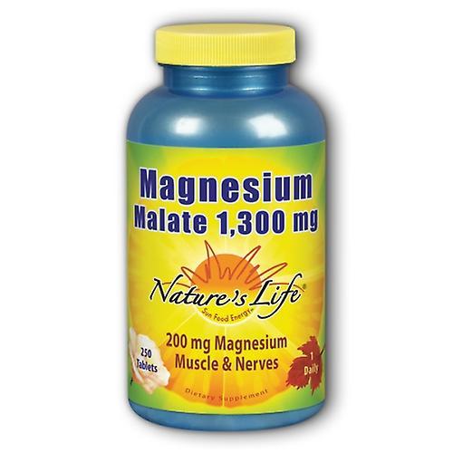 Nature's Life Magnesium Malate,1300 mg ,250 tabs (Pack of 1)