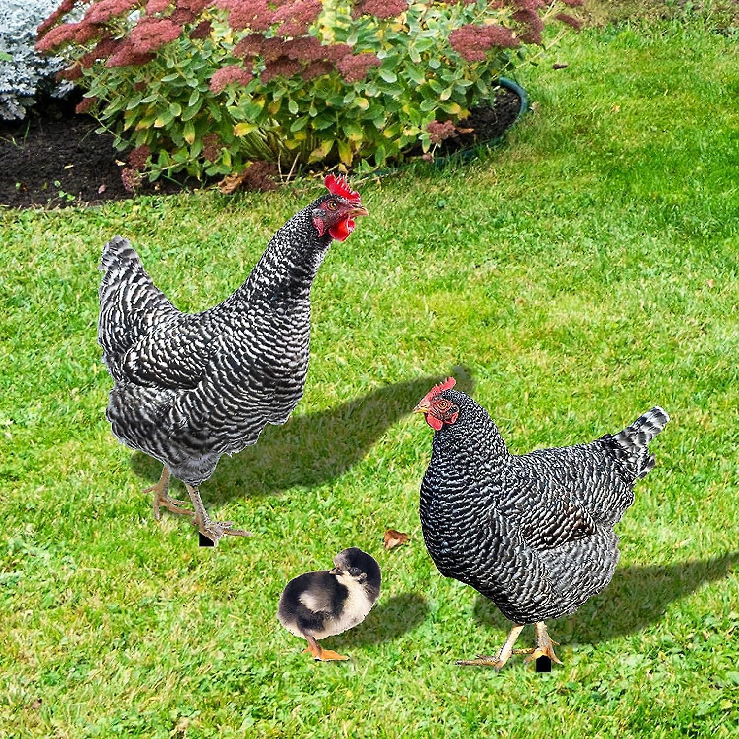 Baiccf Chicken Garden Ornaments Decorative Rooster Figurine Rooster Garden Statue Decoration Hen Decorative Garden Sculptures And Statues Chicken S...