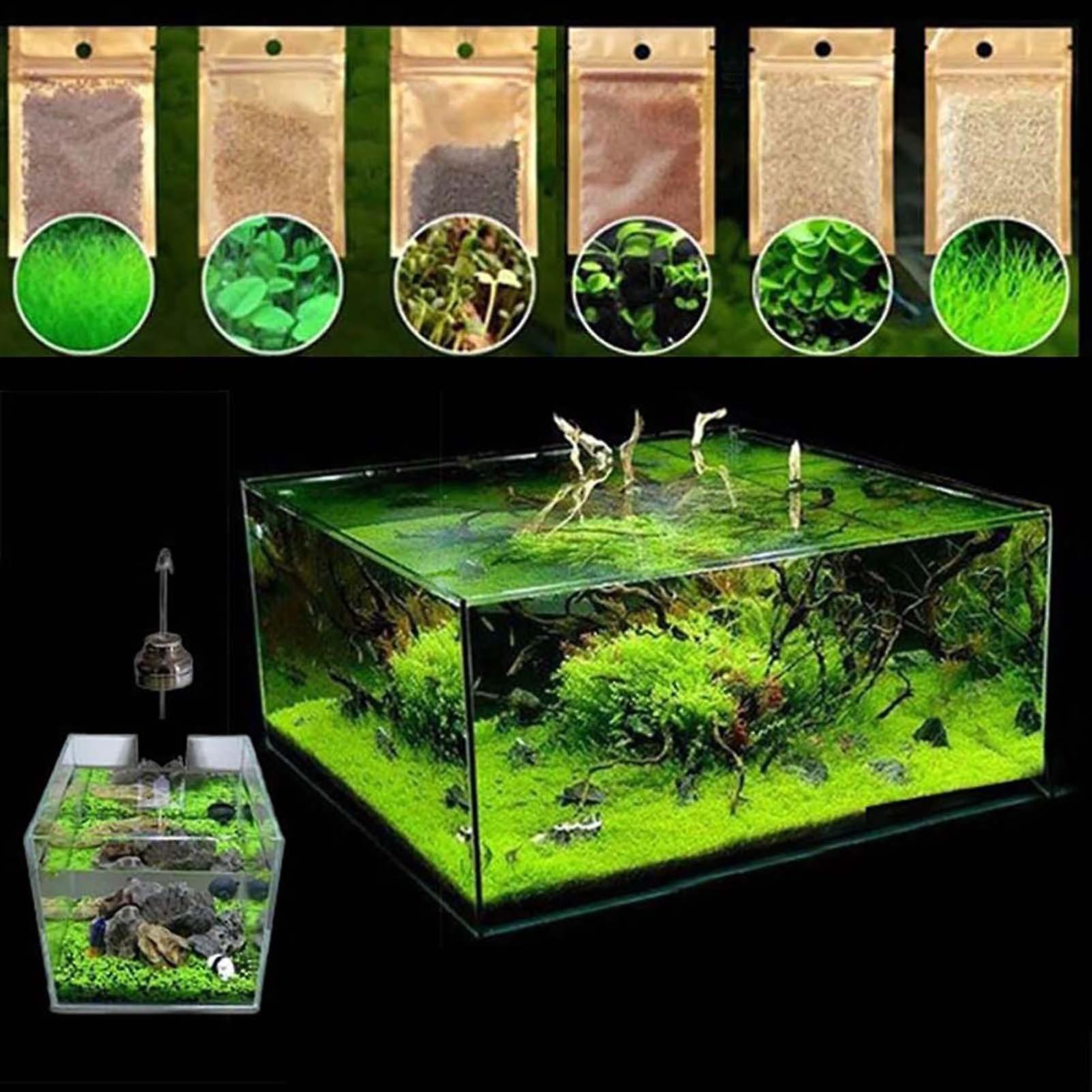 SIJIALI 600Pcs Seaweed Seeds Rustic Plant in Water Prolific Natural Seaweed Seeds for Fish Tank Seed