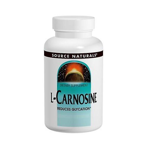 Source Naturals L-Carnosine, 500 MG, 30 Tabs (Pack of 1)