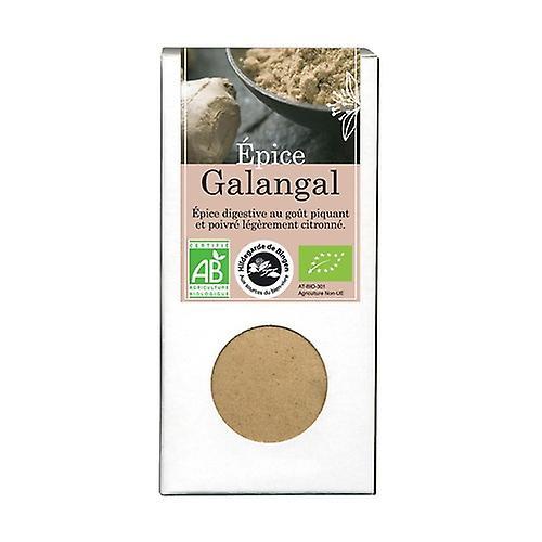 Aromandise Galangal Spice 35 g of powder