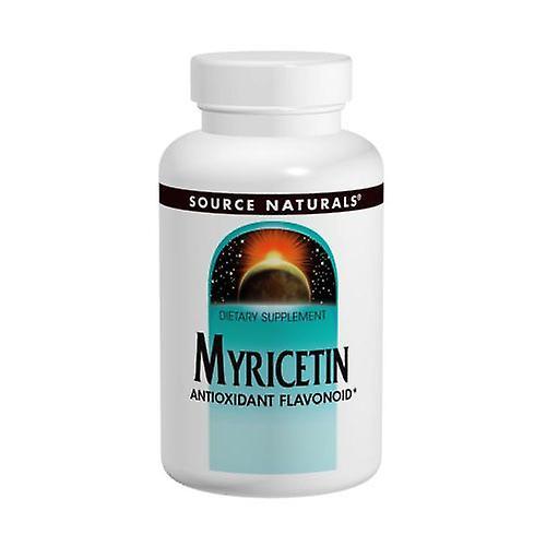 Source Naturals Myricetin, 100 MG, 60 Tabs (Pack of 1)