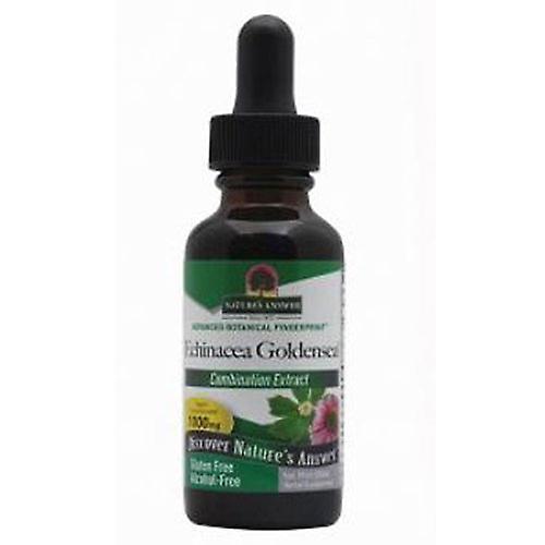 Nature's Answer Echinacea-Goldenseal, ALCOHOL FREE, 1 OZ (Pack of 1)