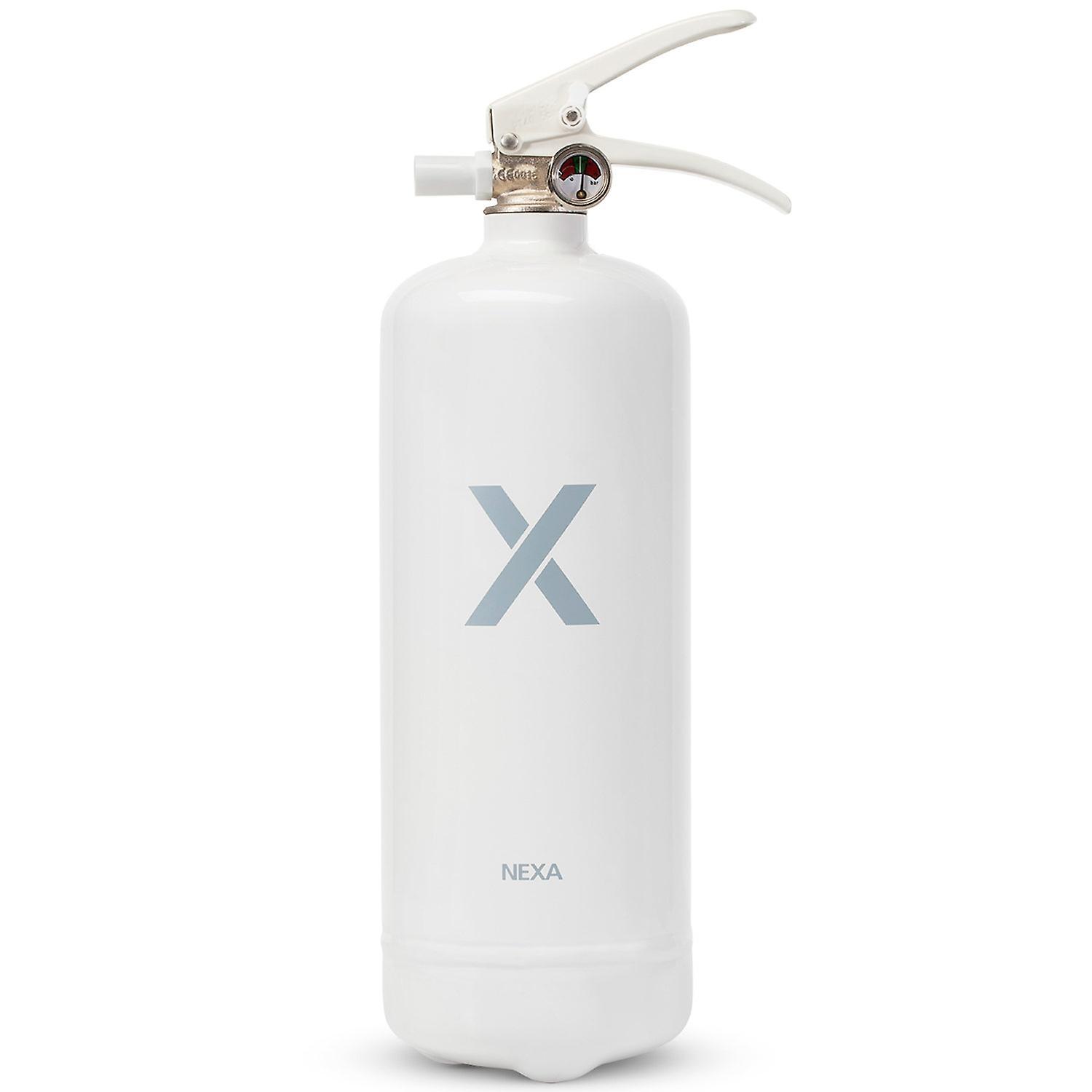 Nexa Fire extinguisher White 2kg 13A