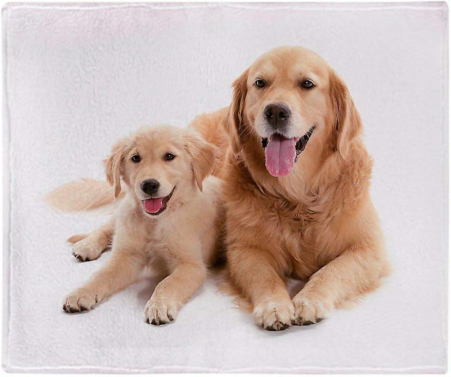 Kerota Soft Fleece Blanket Golden Retriever Buddies,  Throw Suitable for Sofa or Bed 50x40in 125x100cm