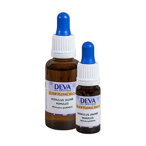 Deva Yellow Mimulus - Dropper 30 ml of floral elixir