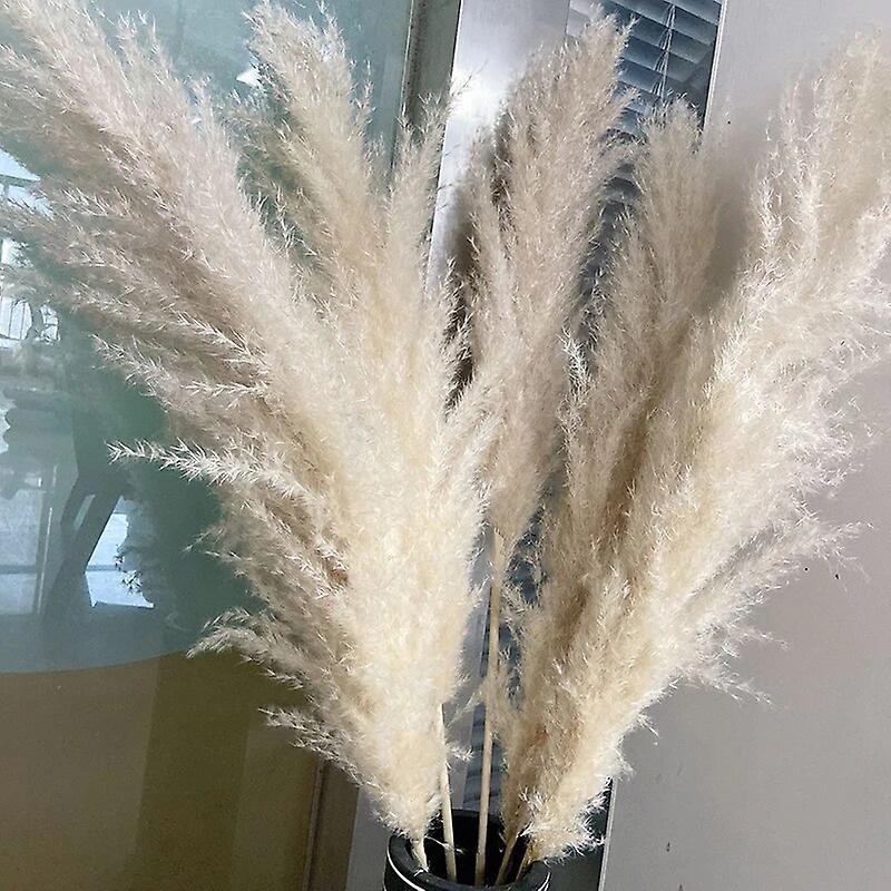 Eccpp 1-1.2m Super Fluffy Natural Dried Large Pampa Grass Bouquet, 5 Stems Beige White Pampas Grass Decor, Wedding Boho Home Decor Beige 5pcs