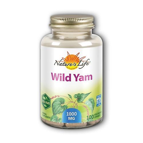 Nature's Life Mexican Wild Yam, 100 Caps (Pack of 1)