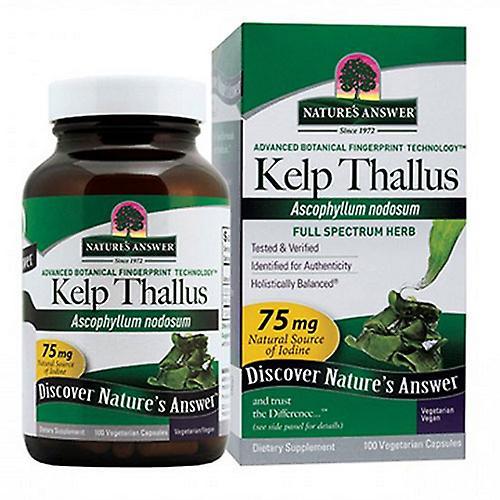 Nature's Answer Kelp Thallus, 100 Caps (Pack of 1)