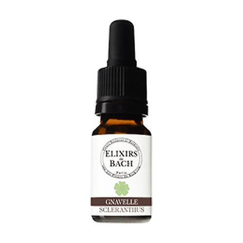 Elixirs & Co 28 Gnavelle anuelle 10 ml of floral elixir