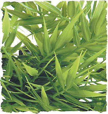 Zoo Med Madagascar Plastic Plant Bamboo Large (Reptiles , Decoration , Artificial Plants) 80 cm