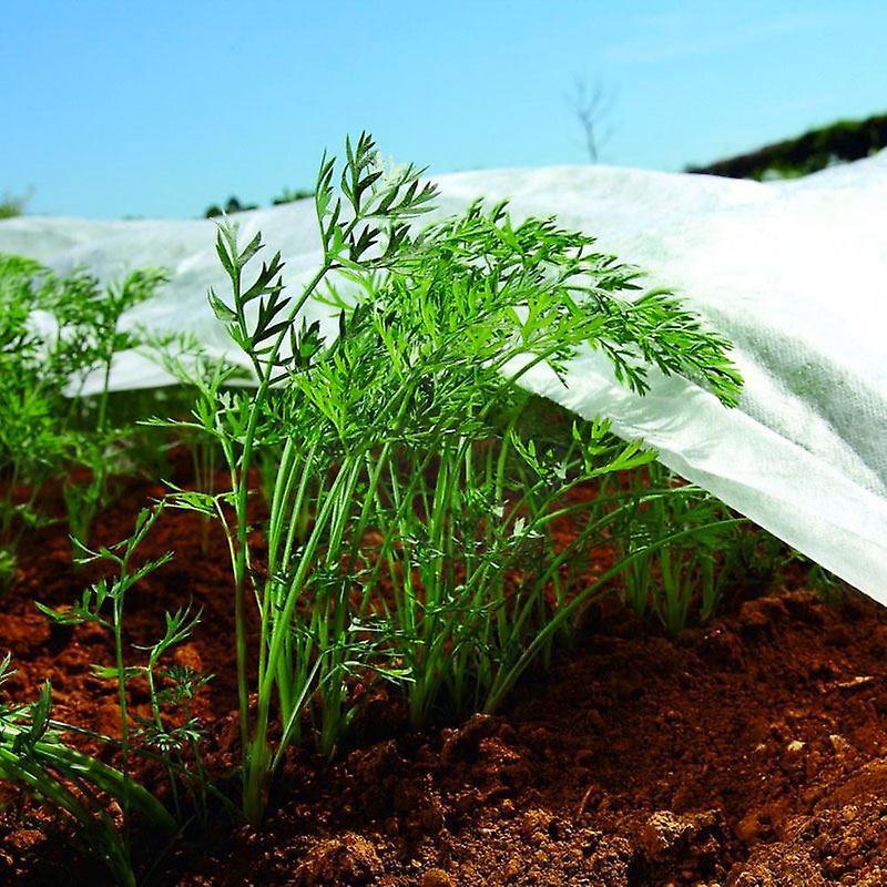 Bradas Nonwoven Crop Cover Plant Frost Protection Fabric Insect Netting Various Sizes 3,2m x 5m