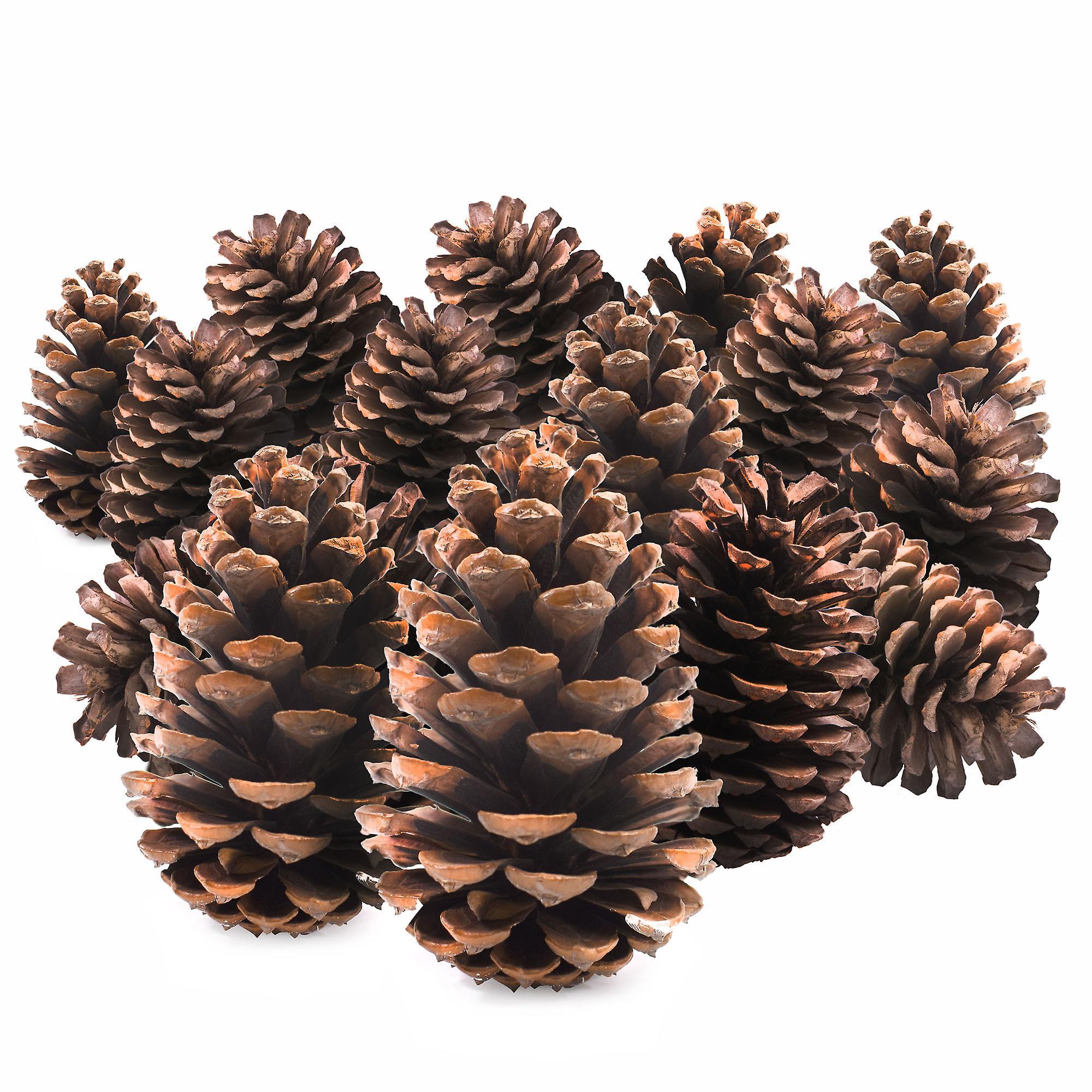 TRIXES 15PC  Pine Cones Christmas Wreath Making Supplies Colour Brown