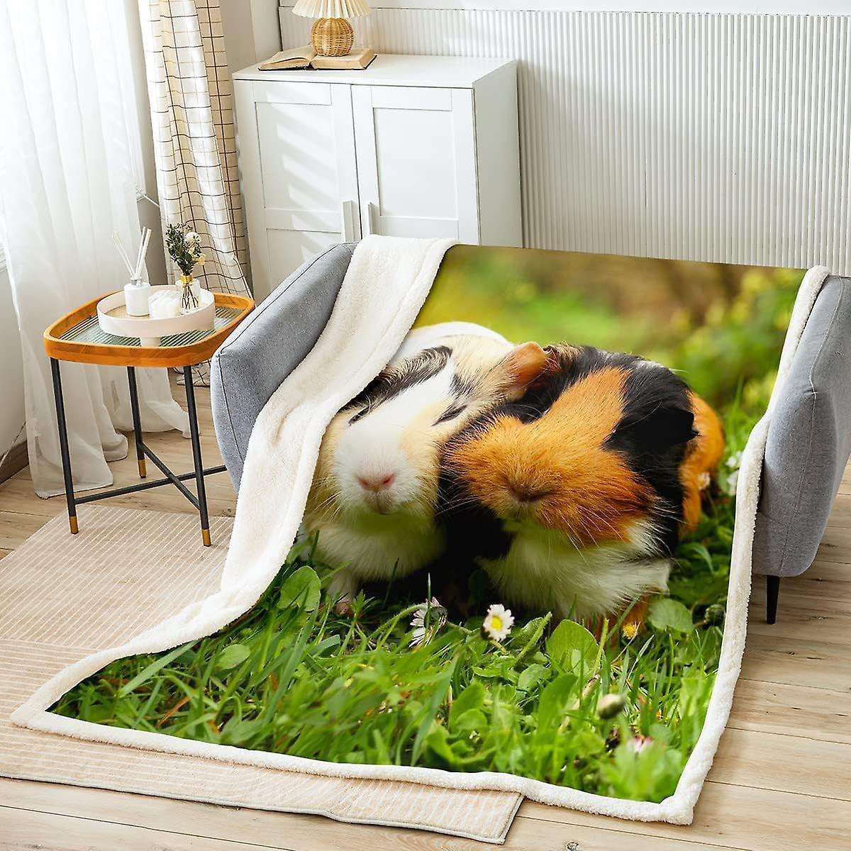 Kerota Guinea Pig Fleece Sherpa Blanket Kids D Cute Cavy Throw Blanket for Bed Sofa Room Pet Animal Fuzzy Blanket Guinea Pig Friends Plush Blanket ...