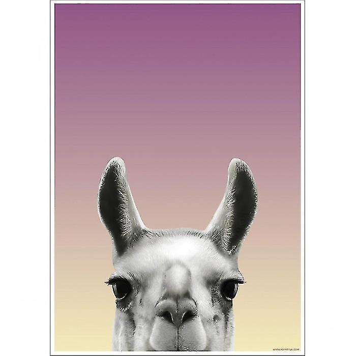 Llama Poster