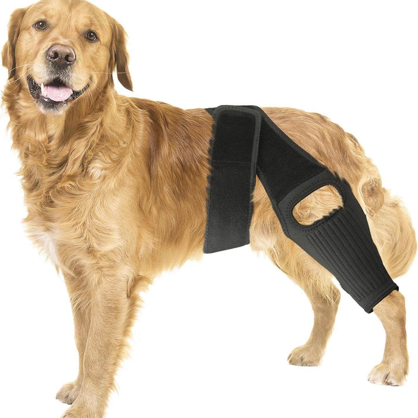 Lelinker Dog Knee Brace For Torn ACL Hind Leg,Strong Support To Reduce Joint Pain And Muscle Sore, With Side Stabilizers For Back Leg L