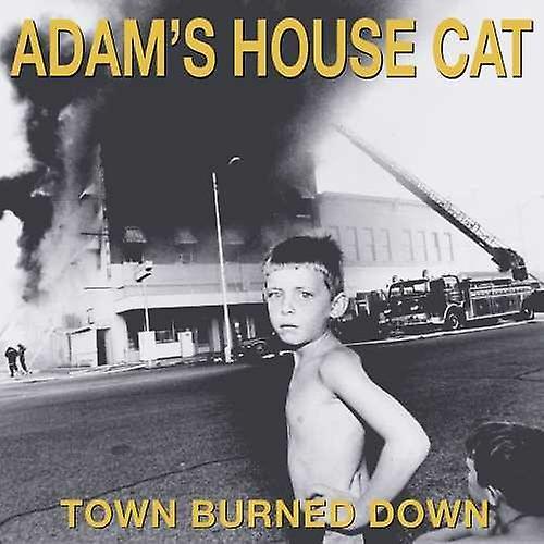 Ato Records Adam's House Cat - Town Burned Down [VINYL LP] Colored Vinyl, Gatefold LP Jacket, Yellow USA Import