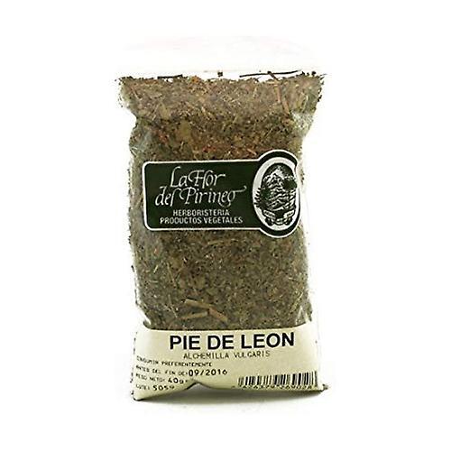 Flor Pirineo Lion foot 40 g