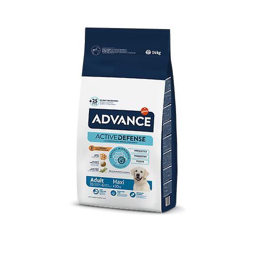 Advance Maxi Adult Chiken and Rice (Dogs , Dog Food , Dry Food) 14 KG