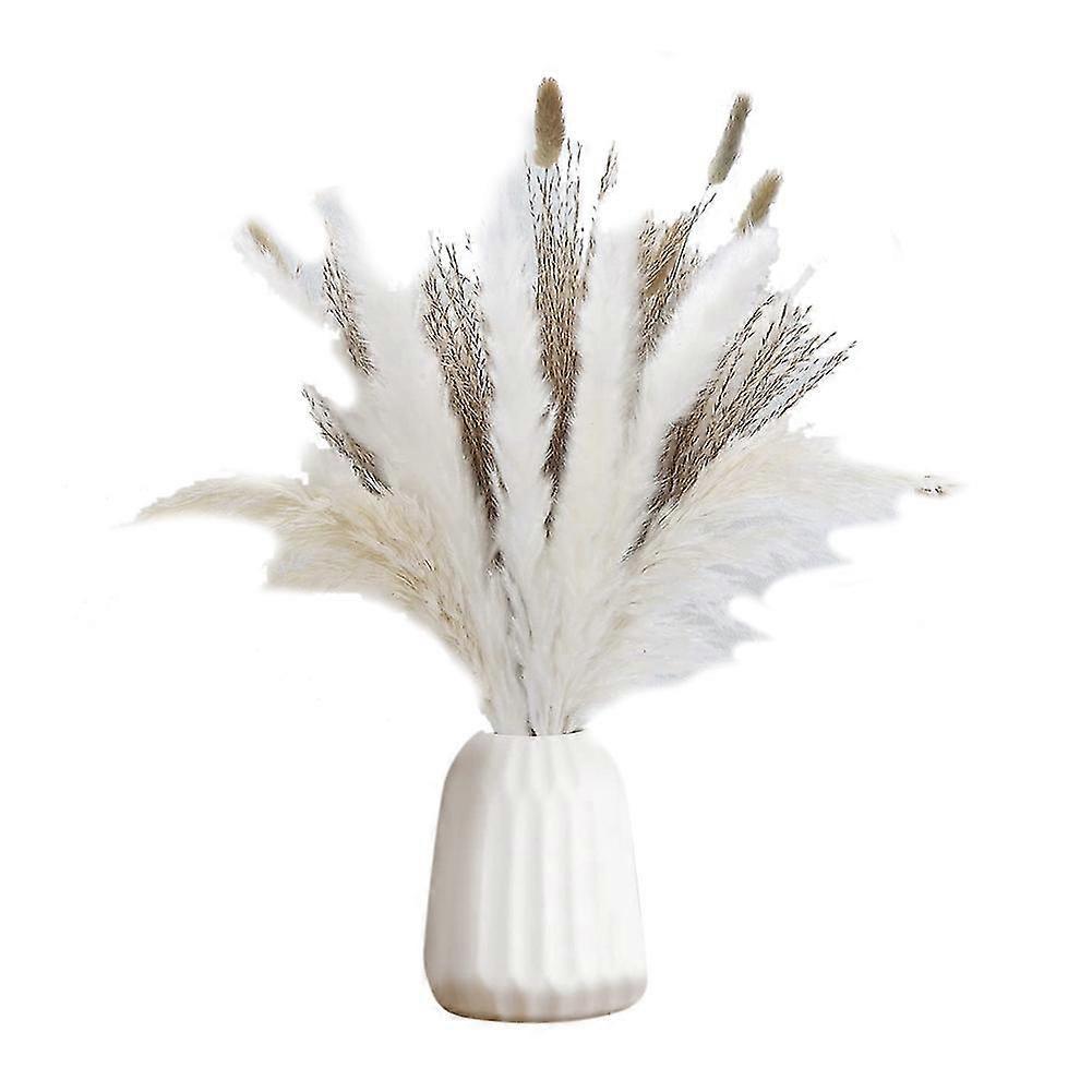 Viewleaf Pampas Grass 20 Pcs Nature White Pampas Grass, 15 Pcs Dried Reed, 15 Pcs Bunny Tail Grass, 3 Pcs Wh