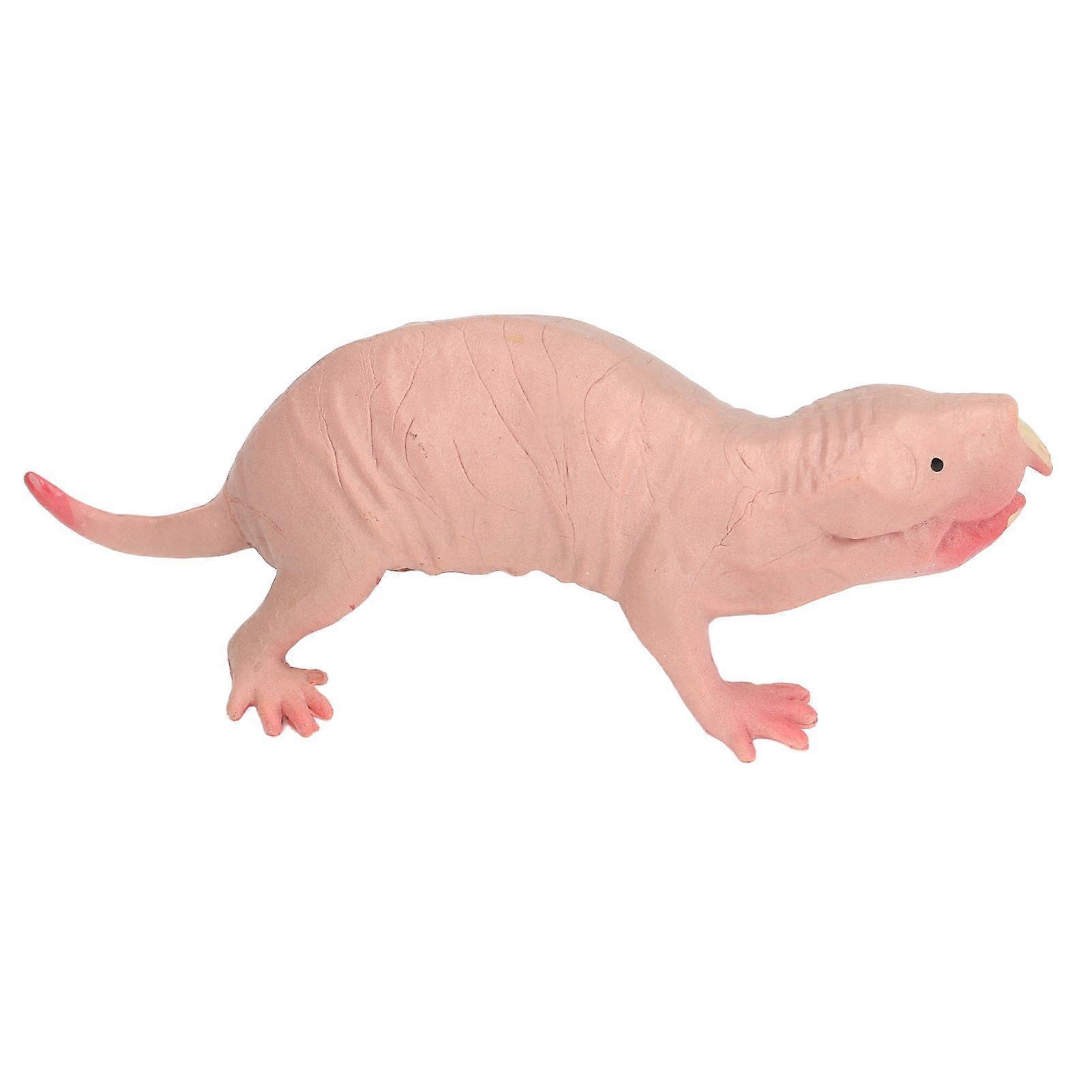 Aespa Plastic Mole Figurine Toy Simulation Static Full Core Naked Mole Model for Children Sand Table Ornaments