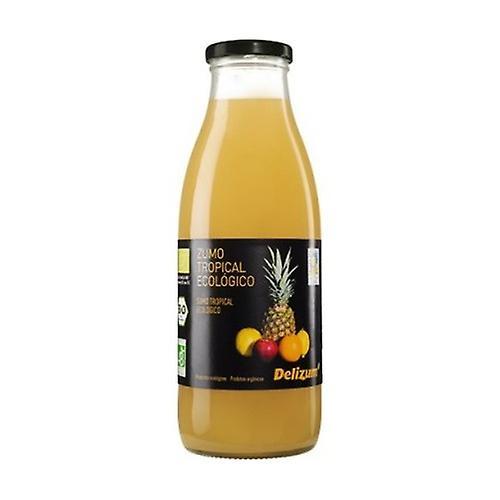 Delizum Organic Tropical Juice 1 L (Orange - Lemon - Passion Fruit - Apple - Pineapple)