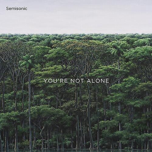 Pleasuresonic Recs Semisonic - You're Not Alone  [COMPACT DISCS] USA import