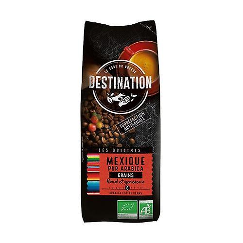 Destination Bio 100% organic Arabica Mexican coffee beans 250 g