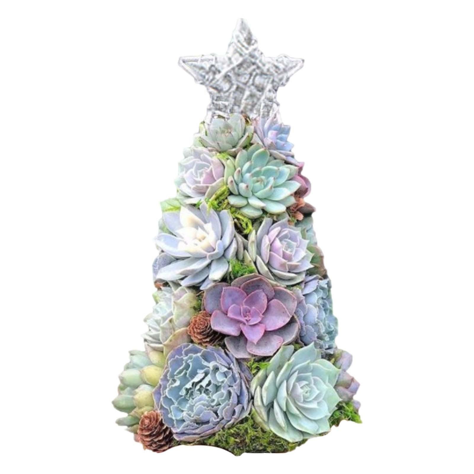 Fruushop Handmade Surprise Christmas Gift Succulent Christmas Tree C