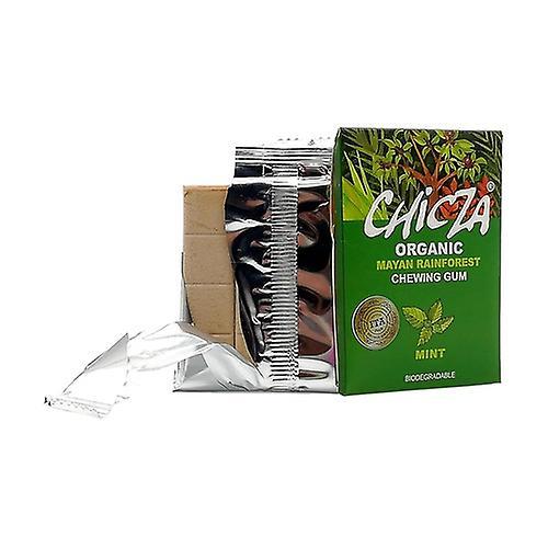 Chicza Mint flavoured gum Bio 12 units of 2.5g