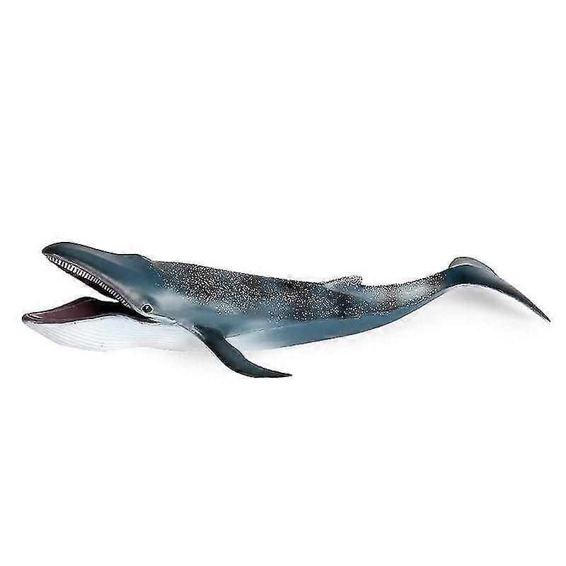 Skwtlv Realistic Blue Whale Sculpture Statue Collectible Marine Life Model Toy Blue Safe Plastic Material Whale Doll