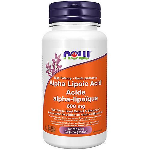 Now! Now Alpha Lipoic Acid,600mg ,60 VegCaps (Pack of 1)