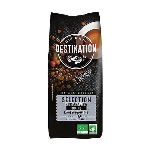 Destination Bio 100% Arabica grain selection 1 kg