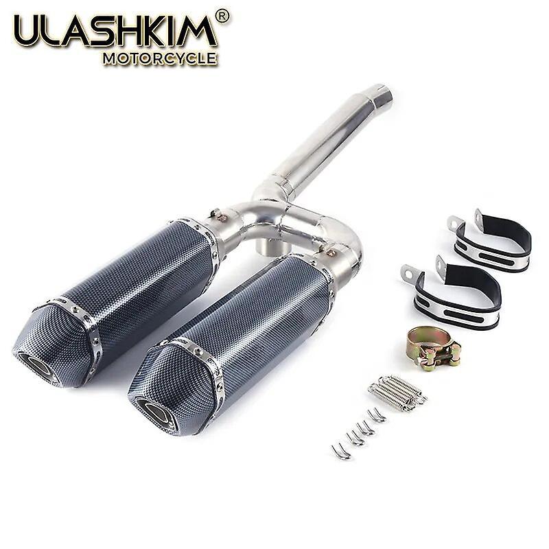 Loerss Fz6n Slip On Exhaust For Yamaha Fz6n Fz6s Fz6 S2 Fazer600 Muffler 2004-2010 Year Fz-6n Fazer 600 Motorcycle Exhaust Pipe Fz6n Grey