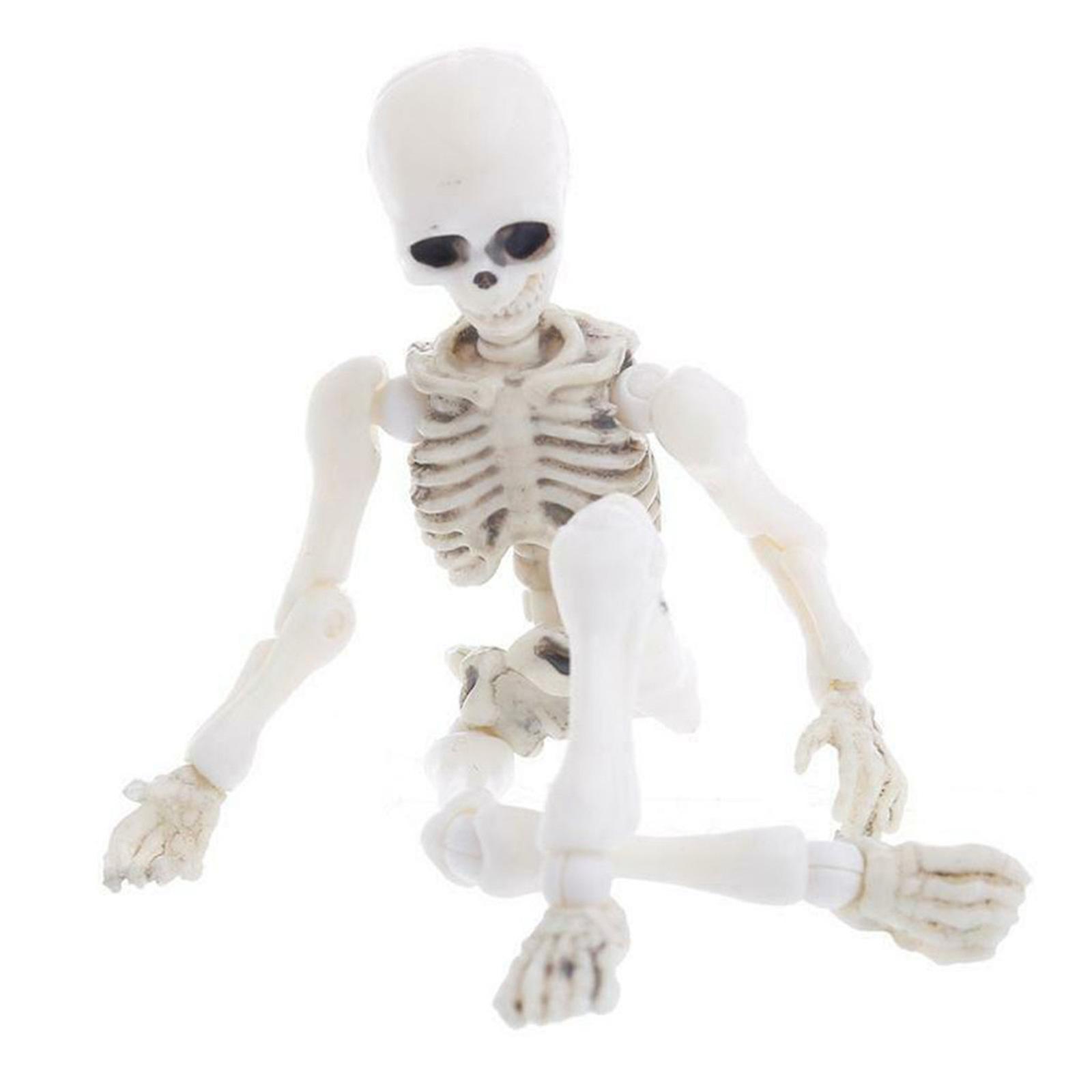 unbrand Halloween Movable Skeleton Human Model Skull Full Mini Figure Toy White