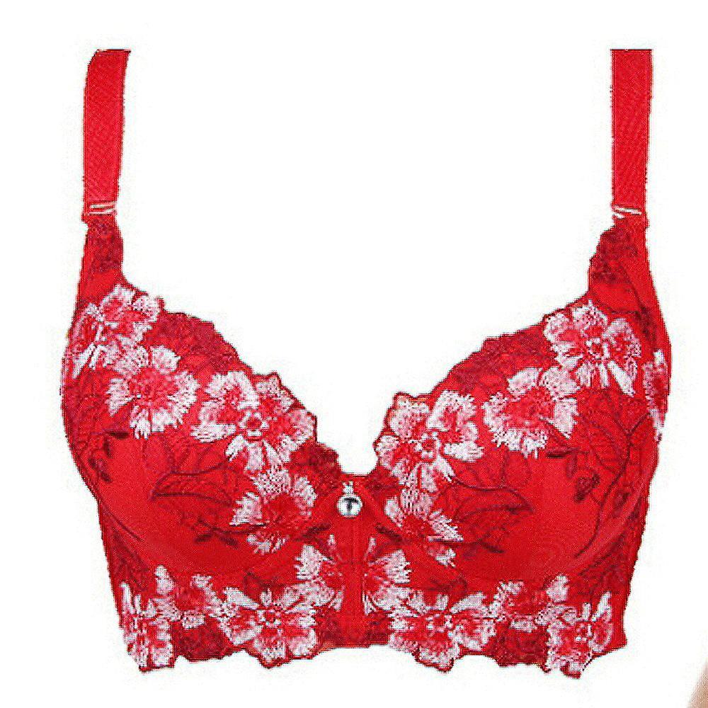 Embroidery bra for women sexy push up brassiere c d cup underwear Red 38d