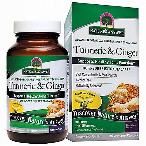 Nature's Answer Turmeric and Ginger, 90 Veg Caps (Pack of 1)