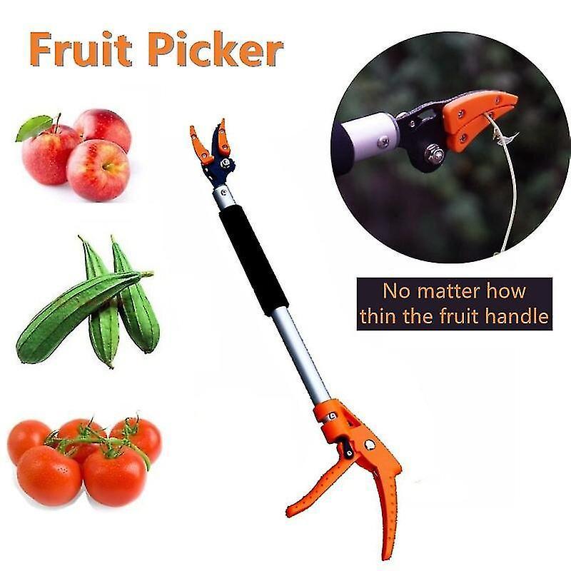 POTATO Long Handle Fruit Picker,garden Long Reach Tree Pruner,long Handled Secateurs For Tree Branches,frui