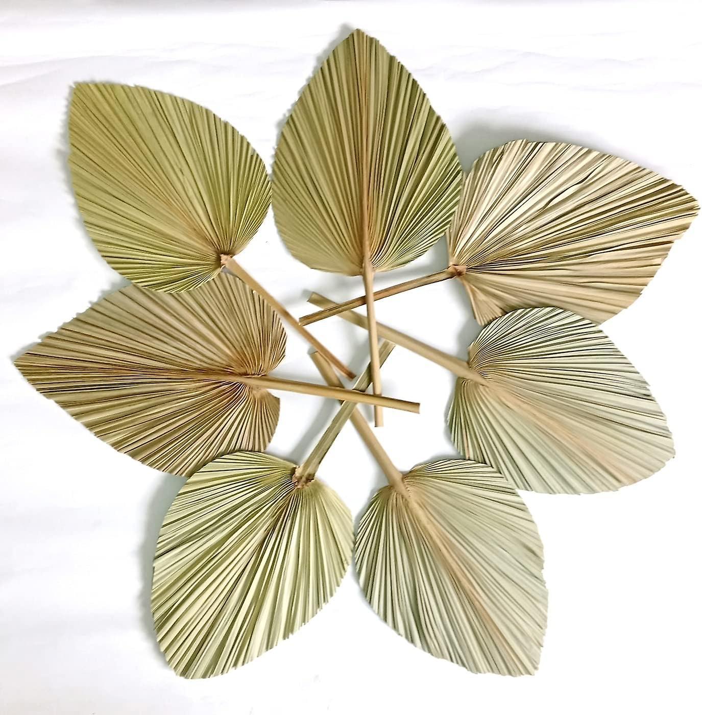 Mintian Dried Palm Leaves Natural Flower Fan Wall Decor Wedding Decor 4pcs