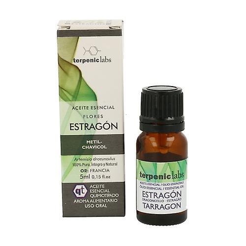 Terpenic Estragon Essential Oil 5 ml of essential oil