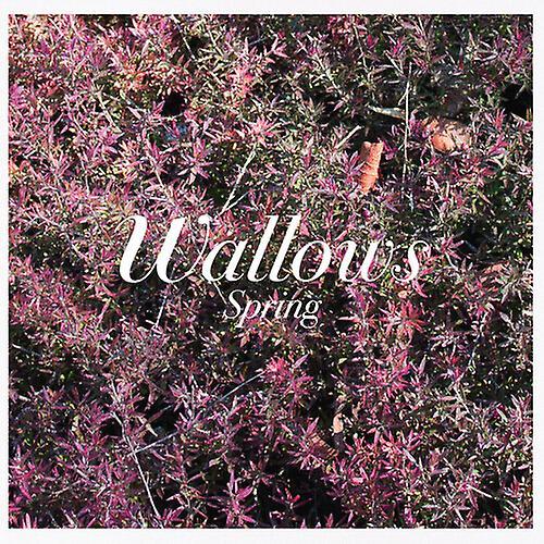 Atlantic Mod Wallows - Spring  [COMPACT DISCS] Explicit USA import