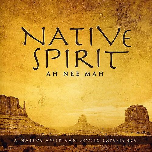 Green Hill David Arkenstone - Native Spirit  [COMPACT DISCS] USA import