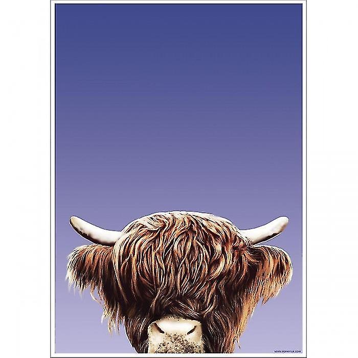 Highland Cow Poster