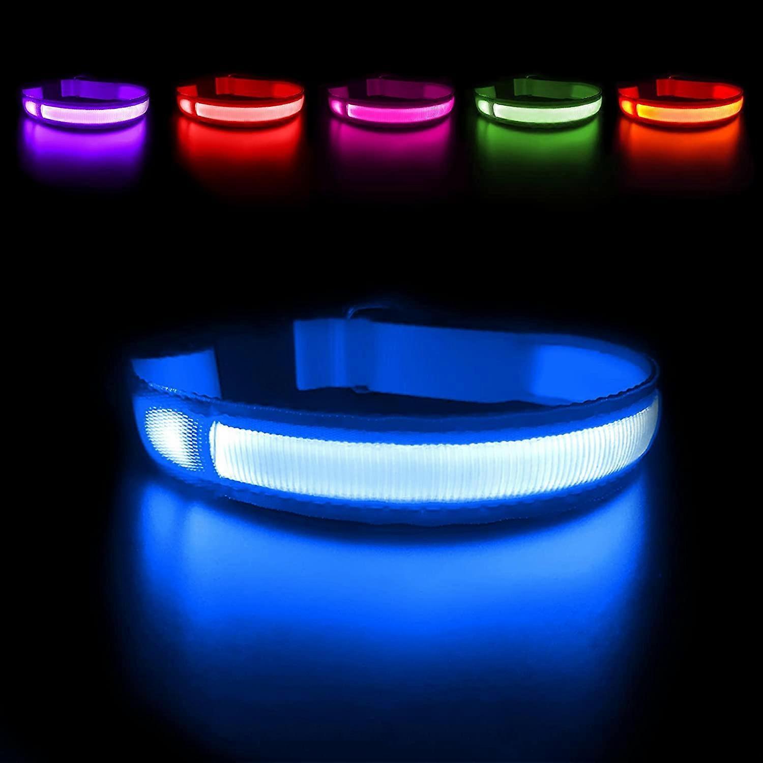 Szczw Blue M Rechargeable Waterproof Light Up Dog Collar, LED Flashing Safety Collar with Adjustable Belt for Small/Medium/Large Dogs