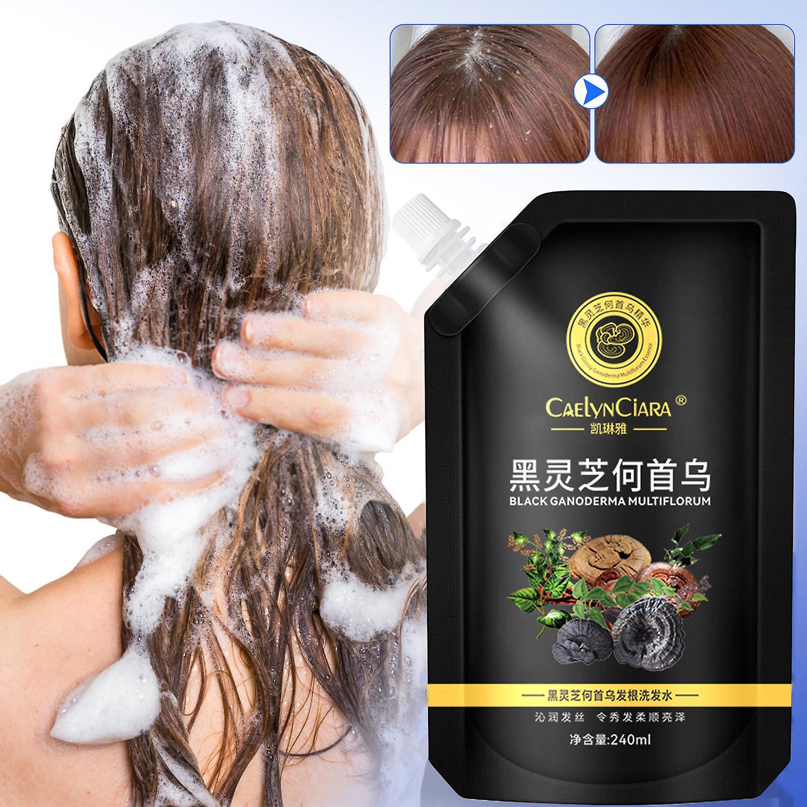 Baodan Black Ganoderma Reynoutria Multiflora Shampoo To Reduce Dandruff, Relieve Itching, Leave Fragrant, Control Oil, And Soft Hair Lotion 240ml