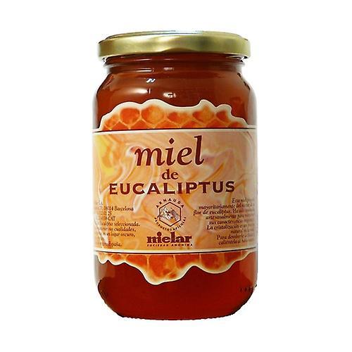 Mielar Eucalyptus honey 500 g