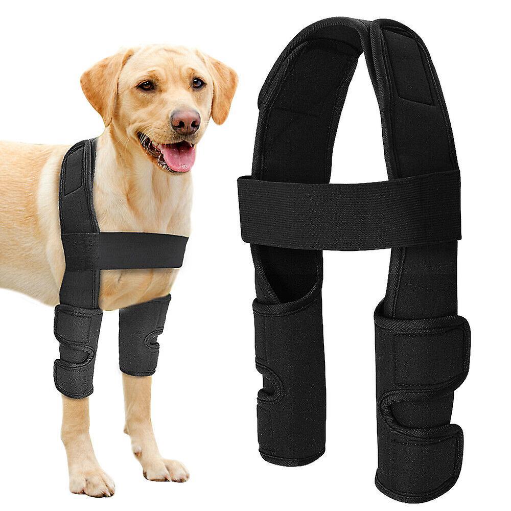 Didog Dog Front Legs Brace Hock Wraps Bandage Help Wounds Compression Joint Wrap M