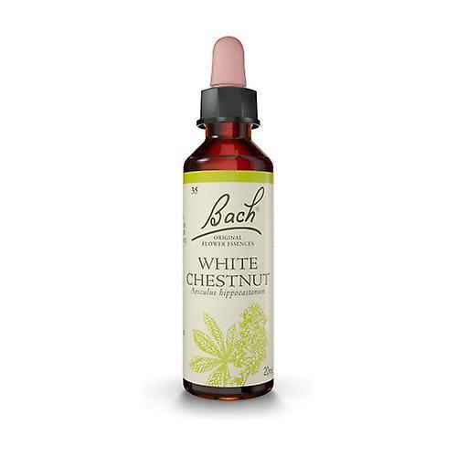 Bach Flower Bach White Chestnut 20 ml of floral elixir