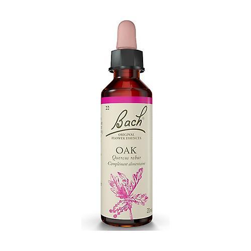 Bach Flower Essences 22 - Oak 20 ml of floral elixir