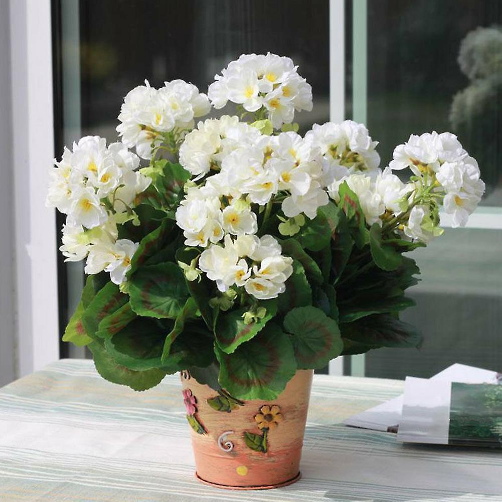 SIJIALI 100Pcs Pelargonium Seeds Geranium Flower Garden Balcony Bonsai Pot Plant Decor White Geranium Seeds